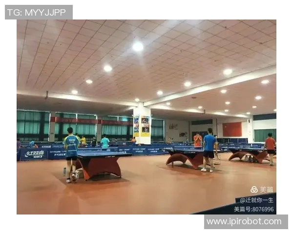 杭州乒乓球队耐力训练的深度分析与提升策略探讨 杭州乒乓球队耐力训练的深度分析与提升策略探讨