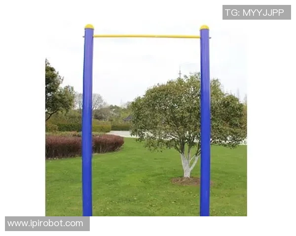 练肩的健身器材:适合训练肩部肌肉的健身器材种类与动作 练肩的健身器材:适合训练肩部肌肉的健身器材种类与动作